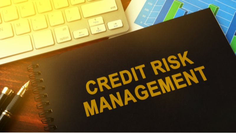 Best Credit Risk Solution