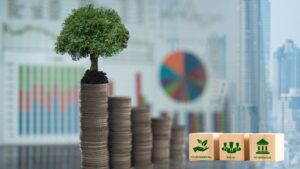 Why Is Sustainable Finance Important?