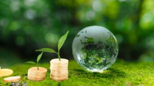 How Can Finance Help Sustainable Development?