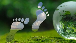 The Hidden Cost of Convenience: Zero’s Lisa Stanley on AI’s Environmental Footprint