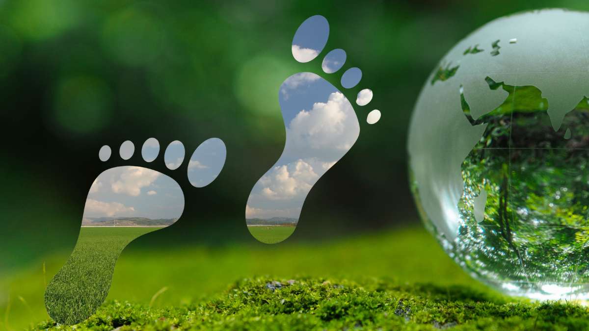 The Hidden Cost of Convenience: Zero’s Lisa Stanley on AI’s Environmental Footprint